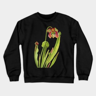 Catesby Pitcherplant - Sarracenia catesaei - Walcott - Botanical Illustration Crewneck Sweatshirt